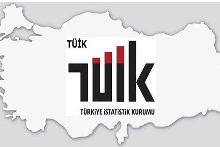 Türkiye İstatistik Kurumu, danışma kurullarını lağvetti