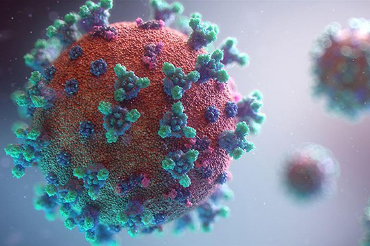 Koronavirüs HIV hastası kadında 32 kez mutasyona uğradı