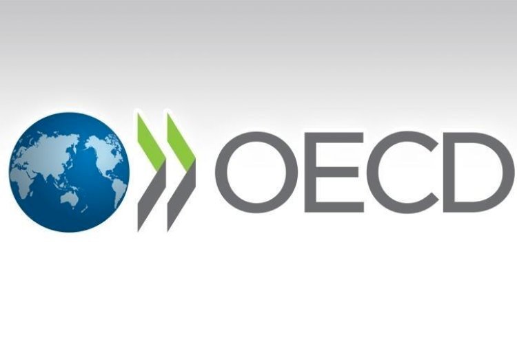 OECD, Türk ekonomisinin büyüme beklentisini iki katına çıkardı
