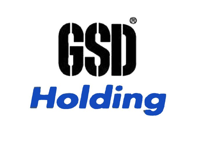 GSD Shipping B.V.’den sermaye artırımı