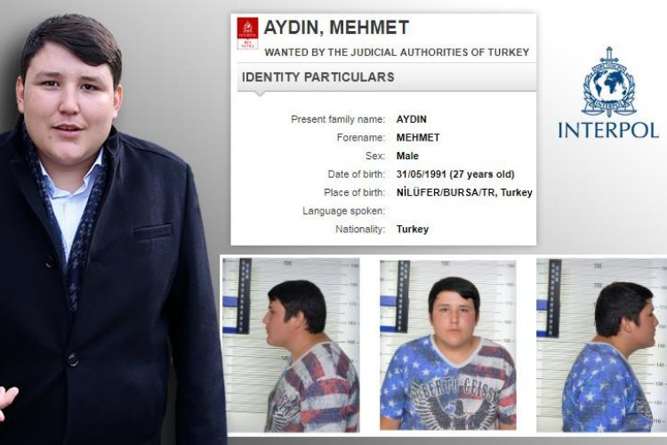 ‘Tosuncuk’ lakaplı Mehmet Aydın teslim oldu