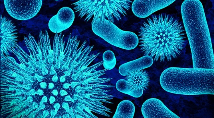 İngiltere’de yeni bir Koronavirüs varyantı tespit edildi