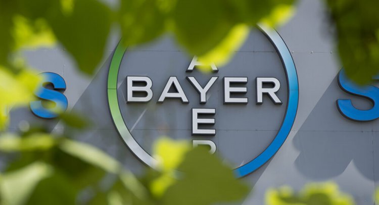 Bayer’den üs hedefi