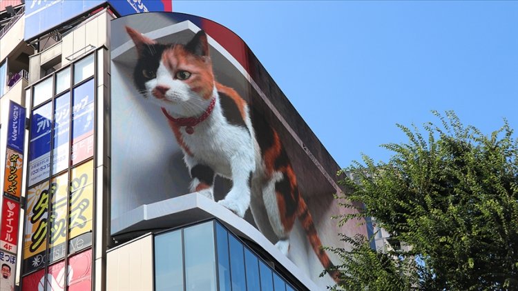 3D kedi, şehri izliyor ve halkı selamlıyor