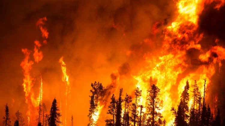 5 ilde orman yangınlarıyla mücadele devam ediyor
