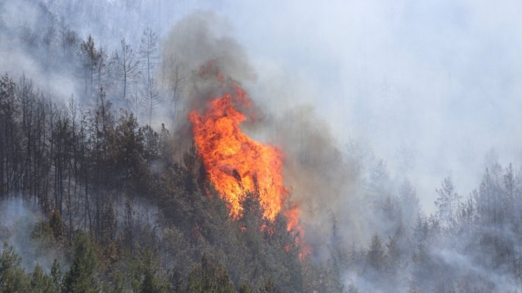 Isparta’da orman yangını