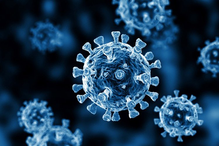 Bilim dünyası koronavirüsün kaynağını tartışıyor!