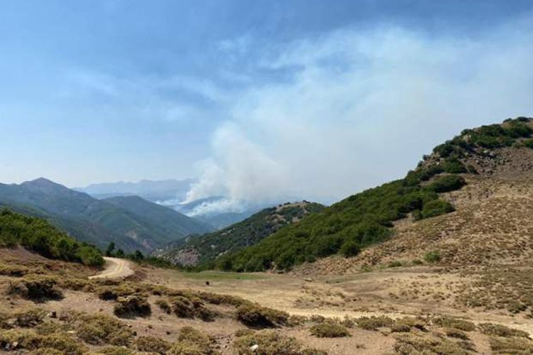 Hozat’taki orman yangını kontrol altına alındı