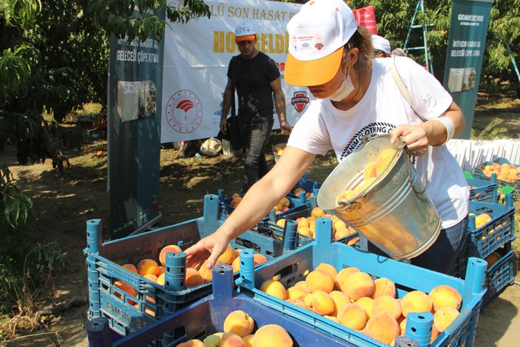 Gönüllü Son Hasat projesiyle gıda farkındalığı