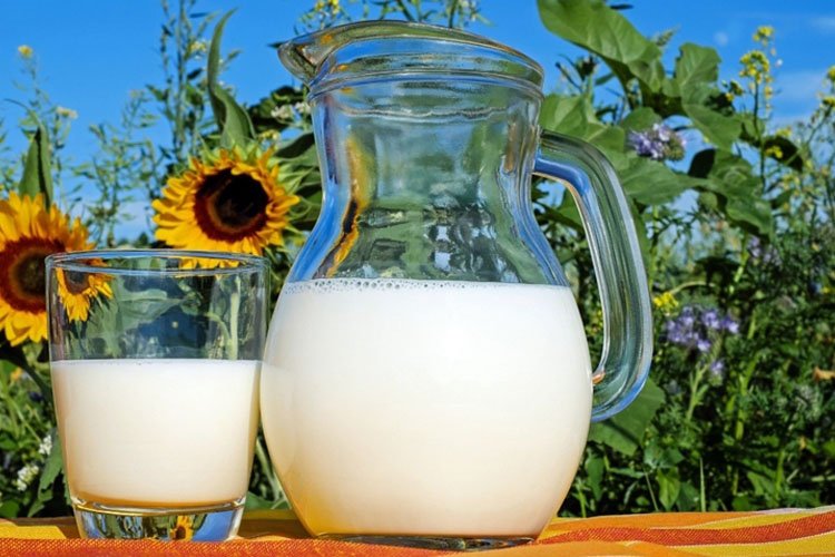 Toplanan süt miktarı 840 bin tona yaklaştı