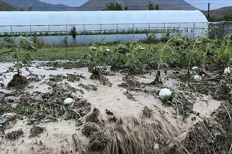 İklim değişikliği tarım sigortalarını kaçınılmaz kılıyor