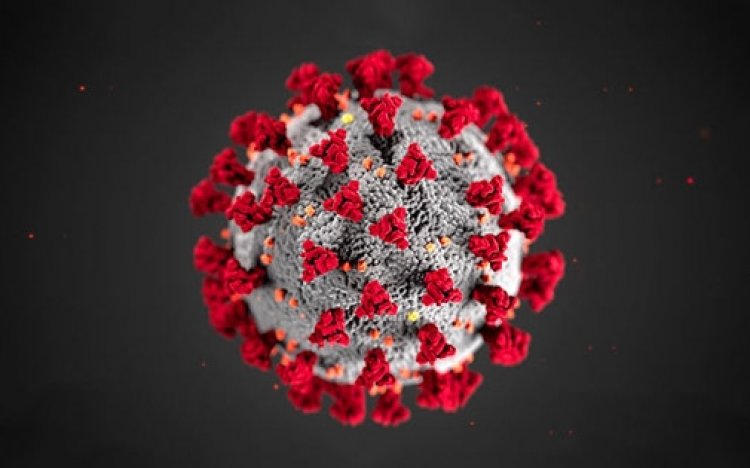 İlk corona virüsü hastası bulundu