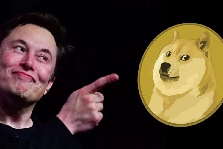 Elon Musk’tan Dogecoincilere çağrı