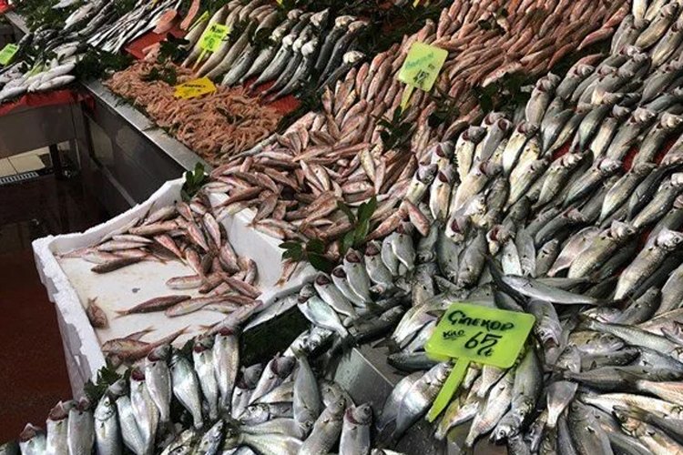 Kar yağışı balık fiyatlarını vurdu: İstavrit 45 liraya kadar yükseldi