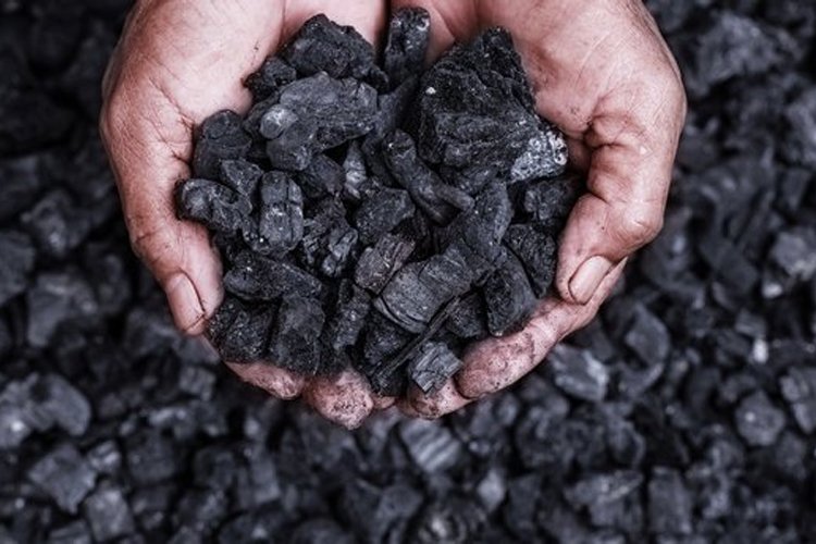 Düşünce kuruluşlarından çağrı: Kömür kullanımı sıfırlanmalı