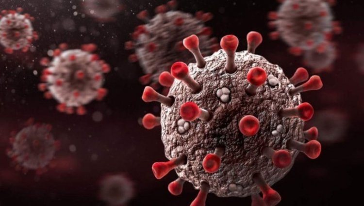 Ünlü bilim insanı uyardı: Corona virüsünün semptomları değişti