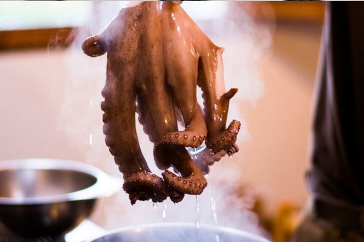 Hollanda’da canlı hayvan pişirme yasaklanıyor