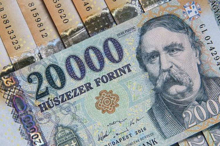 Macaristan’da tartışmalı vergi yasası onaylandı