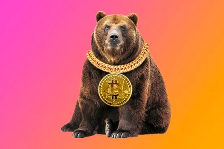 Analist uyardı: Bitcoin ayı piyasasının pençesine düştü