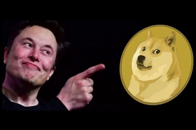 Elon Musk’tan McDonald’s’a DOGE çağrısı