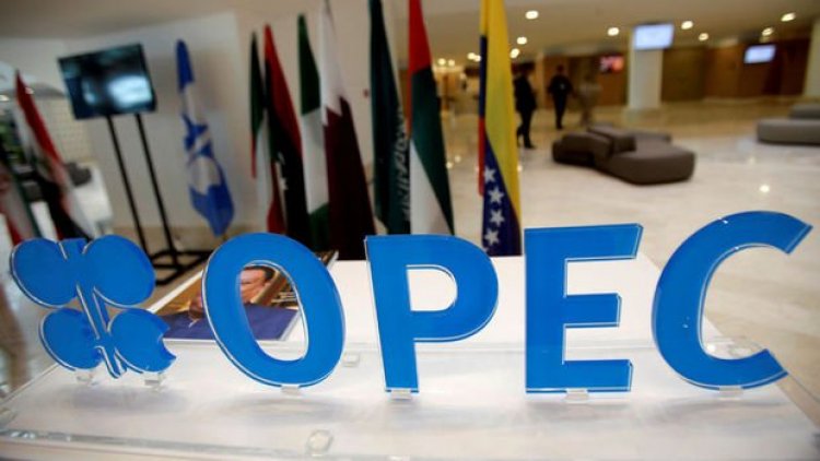 Suudi Arabistan’dan OPEC+ grubuna bağlılık vurgusu