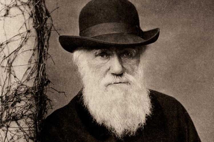“Tarihin en büyük intihali”: Darwin’in evrim teorisi çalıntı mı?
