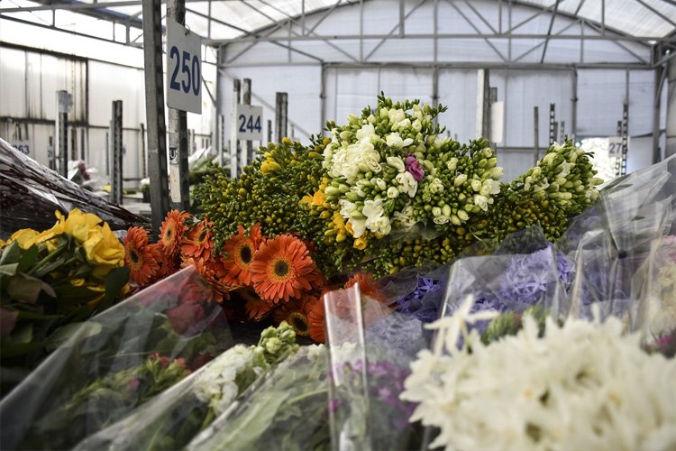 İstanbul’un çiçekçileri 14 Şubat’a hazırlanıyor