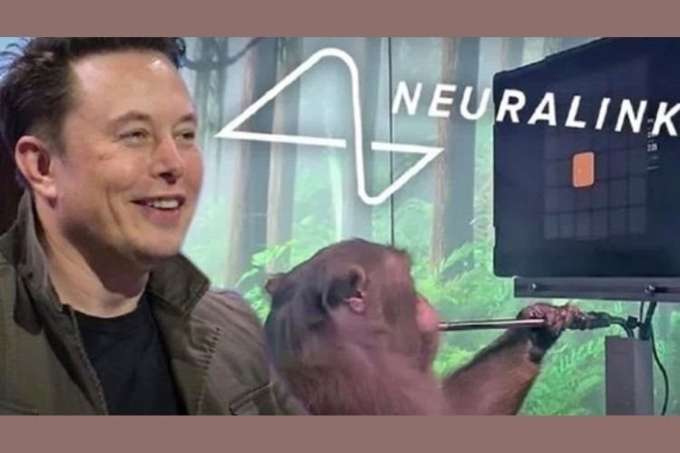 Elon Musk’ın Neuralink testine giren 15 maymun öldü!