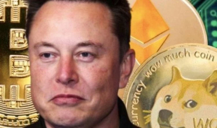 Elon Musk, paylaşımında gizli DOGE mesajı mı veriyor?