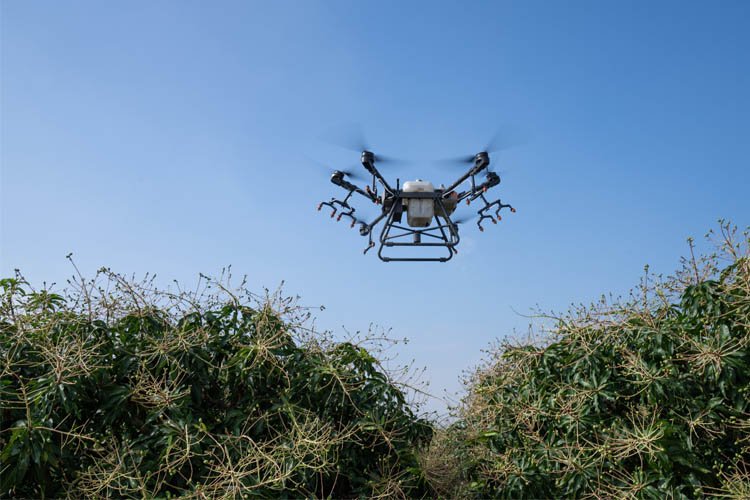 Drone’lar artık haşere ve sivrisinek ile mücadelede de kullanılıyor