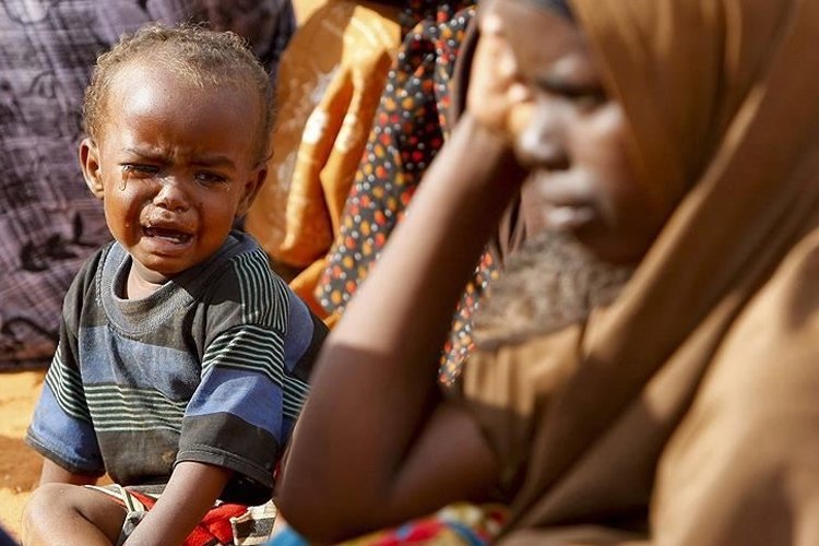 BM: Dünyada açlıkla karşı karşıya olanların sayısı 46 milyon daha arttı