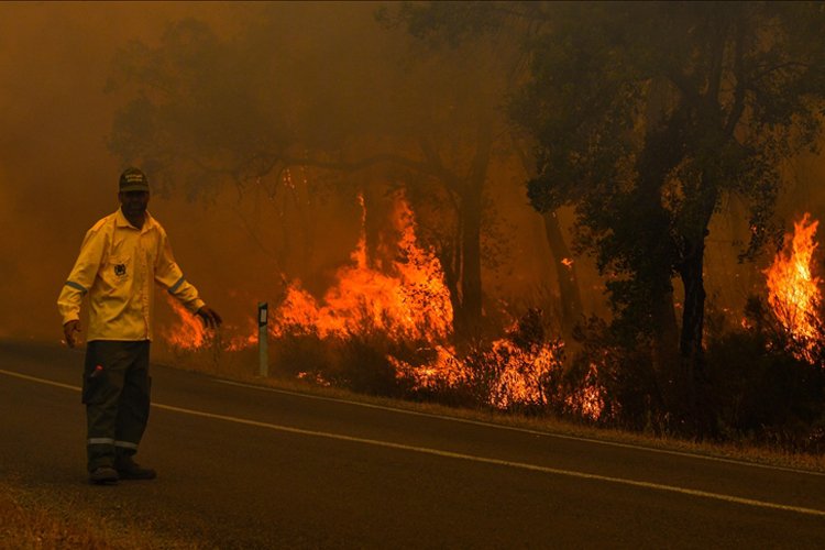 Fas’taki orman yangınlarında 6 bin 600 hektarlık alan kül oldu