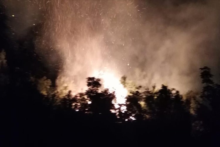 Son dakika… Hatay Samandağ’da orman yangını