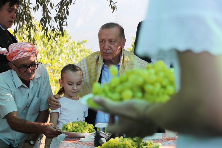 Erdoğan üzüm alım fiyatını açıkladı