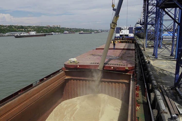 Tahıl sevkiyatı kapsamında 9 gemi daha Ukrayna’dan hareket etti