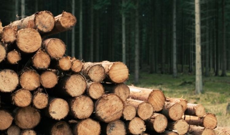 Romanya’da hükümet oduna tavan fiyat getirdi