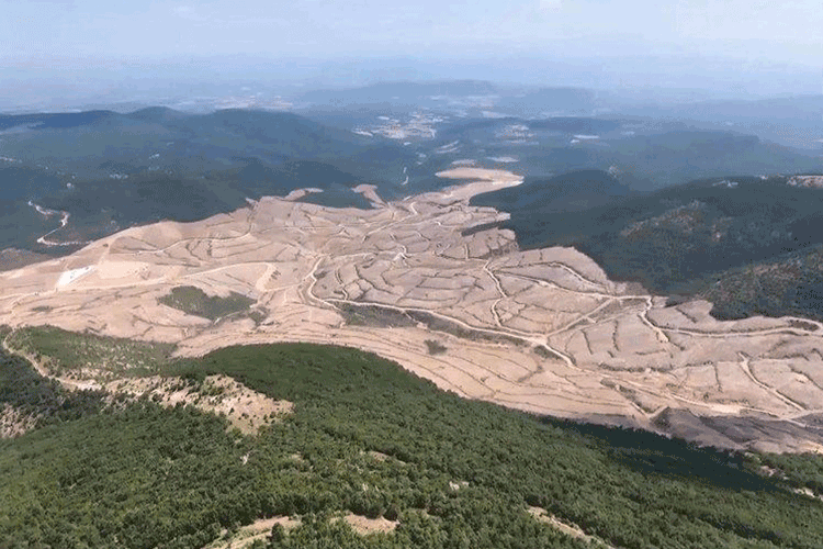 Alamos Gold, Türkiye’ye karşı dava açacak