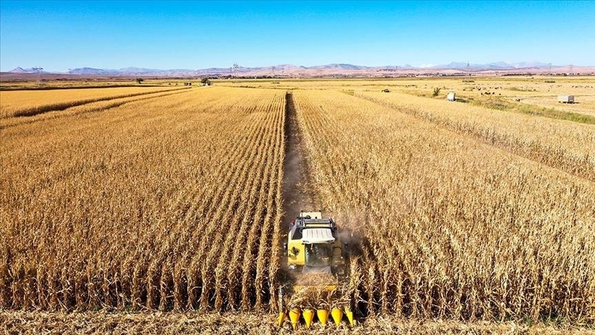 Tarım sektörü tarihi rekor kırdı