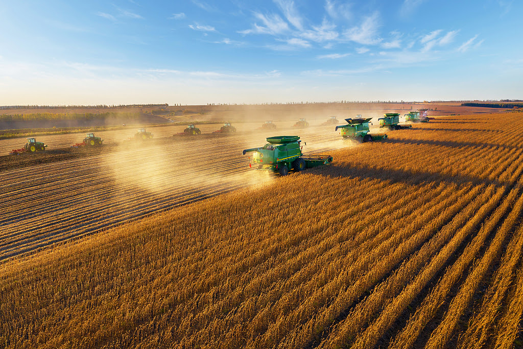 Çin’in tahıl üretimi bu yıl yeni bir rekor kırdı