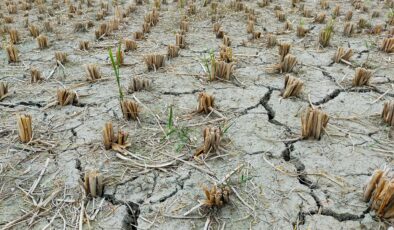 Katalonya bölgesi kuraklığa karşı “istisnai durum” ilan etti
