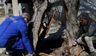 Kahramanmaraş’taki şaşırtan görüntüyü deprem uzmanı yorumladı