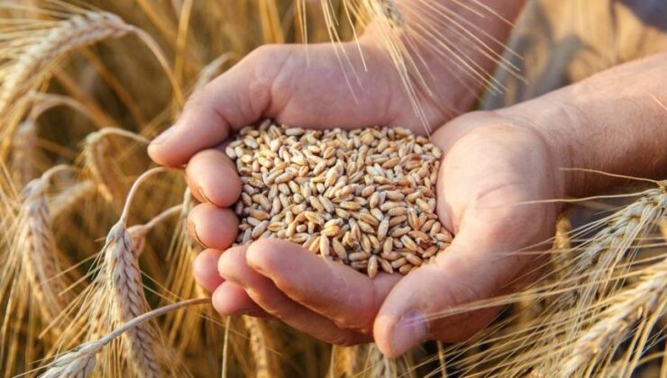 Ukrayna, Kenya’ya tahıl merkezi kuracak