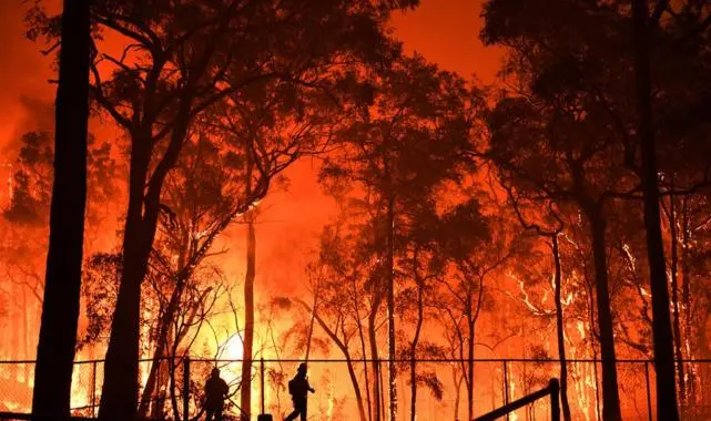 Avustralya’da 2 bin hektardan fazla ormanlık alan yandı