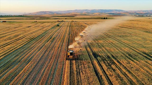 Tarım arazisi azaldı ancak üretimde rekor bekleniyor