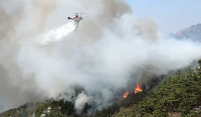 Güney Kore’de orman yangını: 120 ev tahliye edildi