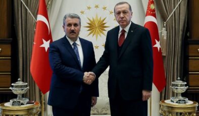 Cumhurbaşkanı Erdoğan, Destici ile görüşüyor