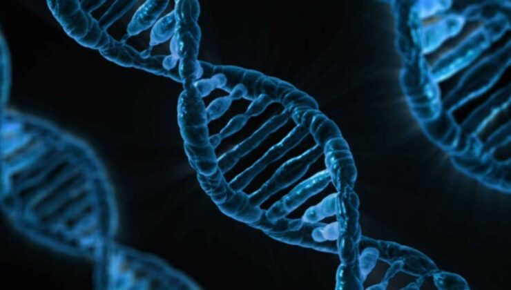 Ayak izi veya nefesten insan DNA’sı tespit edilebiliyor