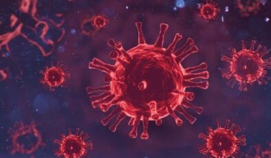 Yunanistan’da son bir haftada Batı Nil Virüsü vakalarında artış yaşandı