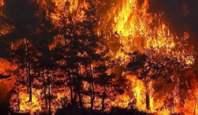 Kanada’da orman yangını: Binlerce kişi tahliye edildi