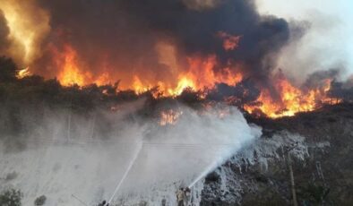 Datça’da orman yangını çıktı